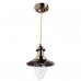 Оформить заказ Подвесной светильник ARTE Lamp A5518SP-1AB| VIVID-LIGHT.RU