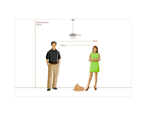 Сделать заказ Подвесной светильник MW-Light 636012101| VIVID-LIGHT.RU