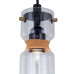 Оформить заказ Подвесной светильник Citilux CL450213| VIVID-LIGHT.RU