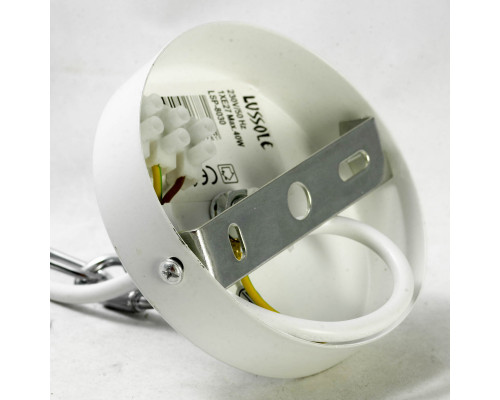 Заказать Подвесной светильник LOFT LSP-8030| VIVID-LIGHT.RU