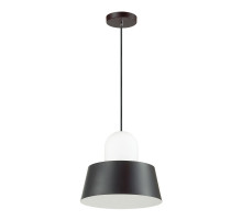 Подвесной светильник Odeon Light 4141/1