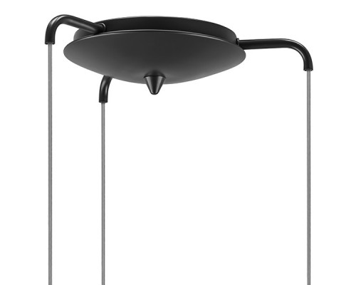 Сделать заказ Подвесной светильник Lightstar 813137| VIVID-LIGHT.RU