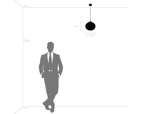 Оформить заказ Подвесной светильник Lightstar 805016| VIVID-LIGHT.RU