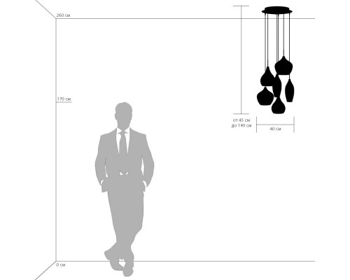 Оформить заказ Подвесной светильник Lightstar 803060| VIVID-LIGHT.RU