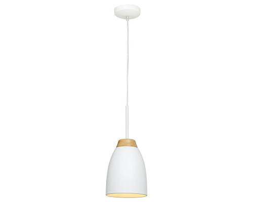 Заказать Подвесной светильник LOFT IT LOFT4402A-WH| VIVID-LIGHT.RU