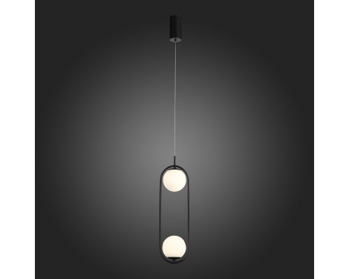 Оформить заказ Подвесной светильник ST-Luce SL395.403.02| VIVID-LIGHT.RU