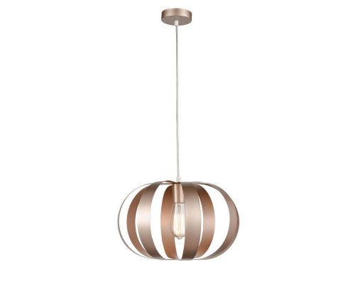 Сделать заказ Подвесной светильник Vele Luce VL5324P21| VIVID-LIGHT.RU