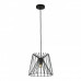 Заказать Подвесной светильник LOFT IT 10033 Black| VIVID-LIGHT.RU