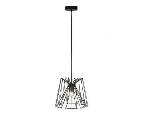 Оформить заказ Подвесной светильник LOFT IT 10033 Black| VIVID-LIGHT.RU