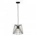 Оформить заказ Подвесной светильник LOFT IT 10033 Black| VIVID-LIGHT.RU