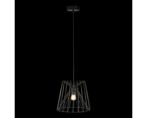 Оформить заказ Подвесной светильник LOFT IT 10033 Black| VIVID-LIGHT.RU