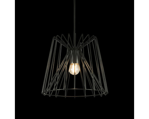 Оформить заказ Подвесной светильник LOFT IT 10033 Black| VIVID-LIGHT.RU