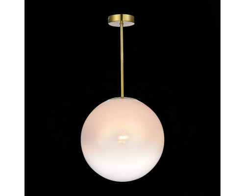 Оформить заказ Подвесной светильник ST-Luce SL1190.212.01| VIVID-LIGHT.RU