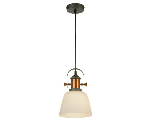 Купить Подвесной светильник LOFT LSP-9846| VIVID-LIGHT.RU