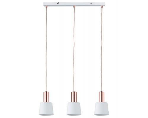 Заказать Подвесной светильник Paulmann 79657| VIVID-LIGHT.RU