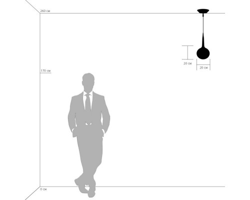 Оформить заказ Подвесной светильник 803110 Lightstar| VIVID-LIGHT.RU