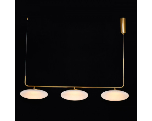 Сделать заказ Подвесной светильник DeMarkt 722010903| VIVID-LIGHT.RU