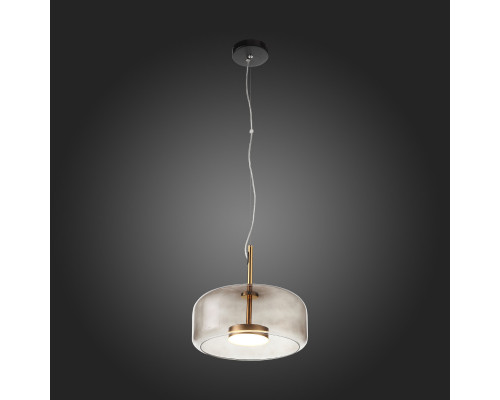 Купить Подвесной светильник ST-Luce SL1053.243.01| VIVID-LIGHT.RU