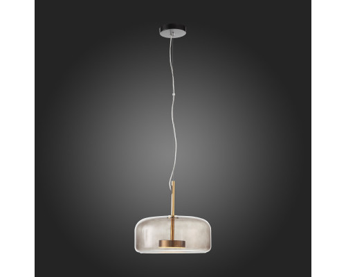 Купить Подвесной светильник ST-Luce SL1053.243.01| VIVID-LIGHT.RU