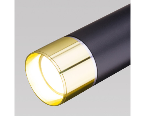 Оформить заказ Подвесной светильник Elektrostandard DLN107 GU10 черный/золото| VIVID-LIGHT.RU