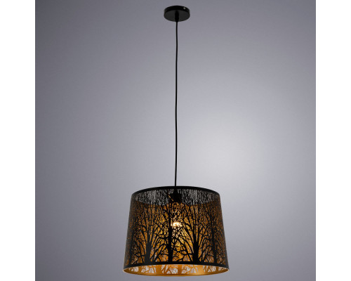 Оформить заказ Подвесной светильник ARTE Lamp A2769SP-1BK| VIVID-LIGHT.RU