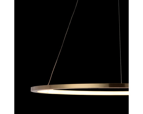 Заказать Подвесной светильник LOFT IT 10014L| VIVID-LIGHT.RU