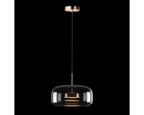 Оформить заказ Подвесной светильник LOFT IT 10041B| VIVID-LIGHT.RU