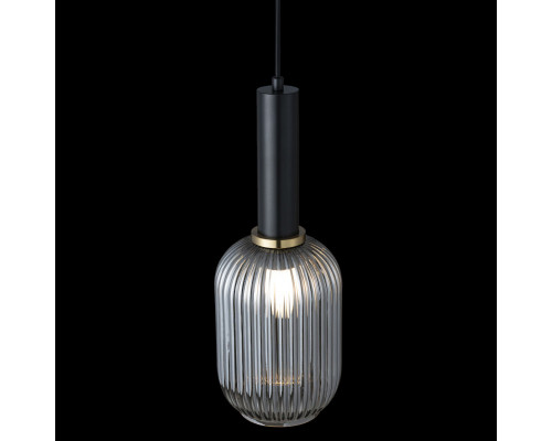 Оформить заказ Подвесной светильник LOFT IT 2070-A+BL| VIVID-LIGHT.RU