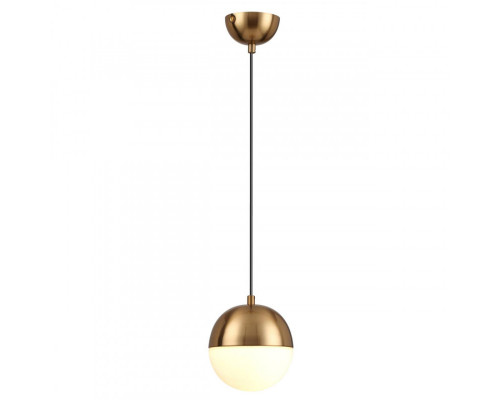Заказать Подвесной светильник Odeon Light 4960/1| VIVID-LIGHT.RU