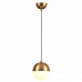 Заказать Подвесной светильник Odeon Light 4960/1| VIVID-LIGHT.RU