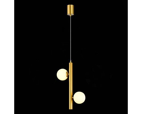 Оформить заказ Подвесной светильник ST-Luce SL1185.203.02| VIVID-LIGHT.RU