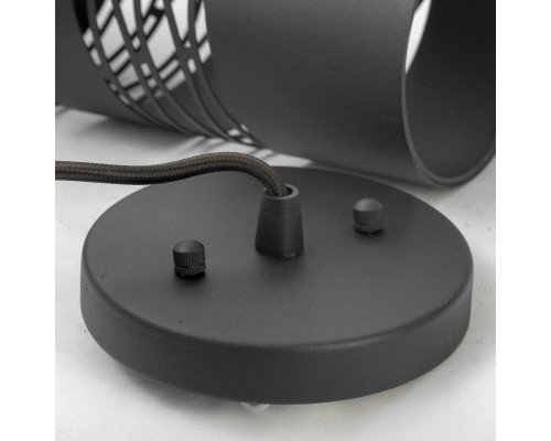 Оформить заказ Подвесной светильник LOFT LSP-9651| VIVID-LIGHT.RU