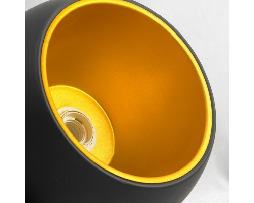 Оформить заказ Подвесной светильник LOFT LSN-6116-01| VIVID-LIGHT.RU