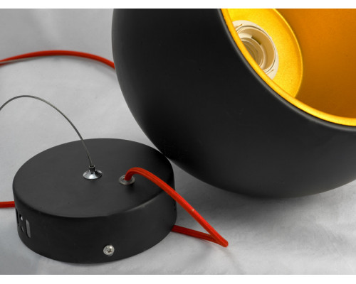 Оформить заказ Подвесной светильник LOFT LSN-6116-01| VIVID-LIGHT.RU