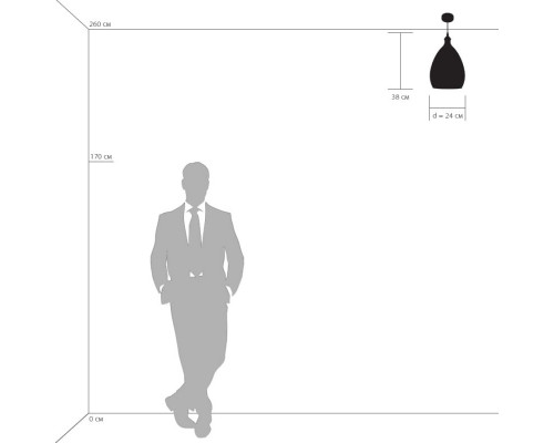 Сделать заказ Подвесной светильник Lightstar 798021| VIVID-LIGHT.RU