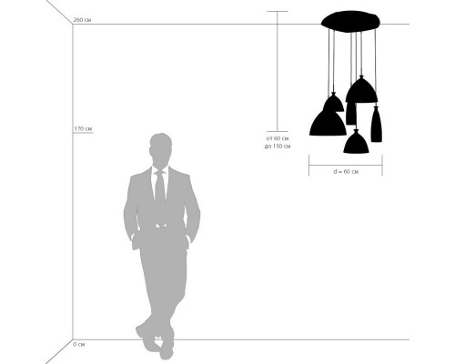 Оформить заказ Подвесной светильник Lightstar 810160| VIVID-LIGHT.RU
