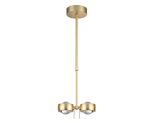 Оформить заказ Подвесной светильник Odeon Light 3874/20L| VIVID-LIGHT.RU
