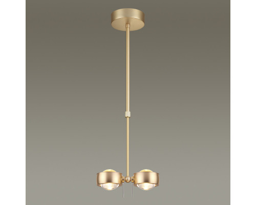Оформить заказ Подвесной светильник Odeon Light 3874/20L| VIVID-LIGHT.RU