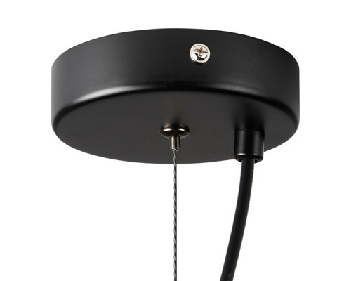 Сделать заказ Подвесной светильник Lightstar 803116| VIVID-LIGHT.RU