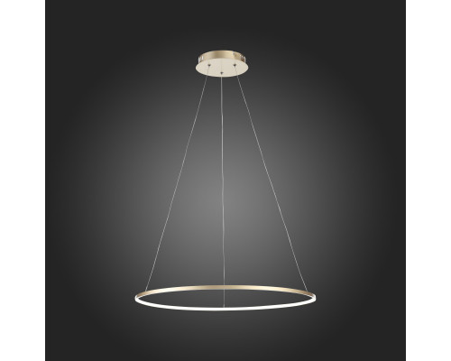 Оформить заказ Подвесной светильник ST-Luce SL904.213.01| VIVID-LIGHT.RU