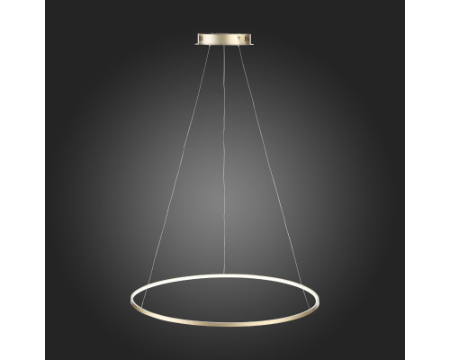 Оформить заказ Подвесной светильник ST-Luce SL904.213.01| VIVID-LIGHT.RU