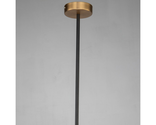 Оформить заказ Подвесной светильник Favourite 2624-1P| VIVID-LIGHT.RU