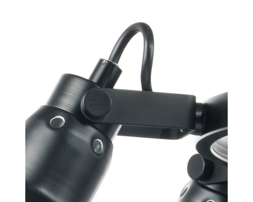 Заказать Подвесной светильник Lightstar 761167| VIVID-LIGHT.RU