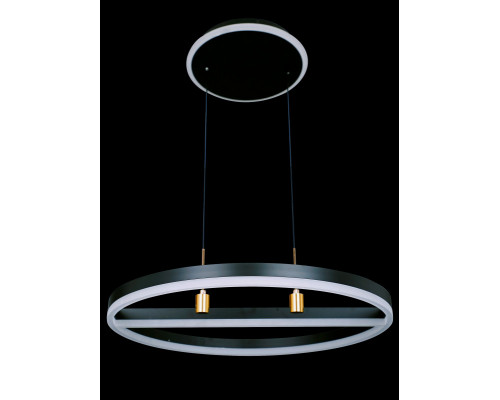 Сделать заказ Подвесной светильник Natali Kovaltseva HIGH-TECH LED LAMPS 82048| VIVID-LIGHT.RU