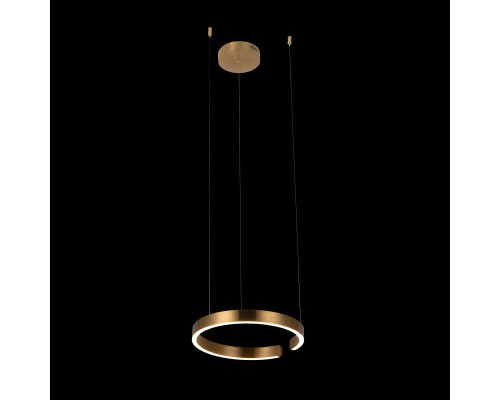 Оформить заказ Подвесной светильник LOFT IT 10013S| VIVID-LIGHT.RU