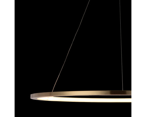 Оформить заказ Подвесной светильник LOFT IT 10014XL| VIVID-LIGHT.RU