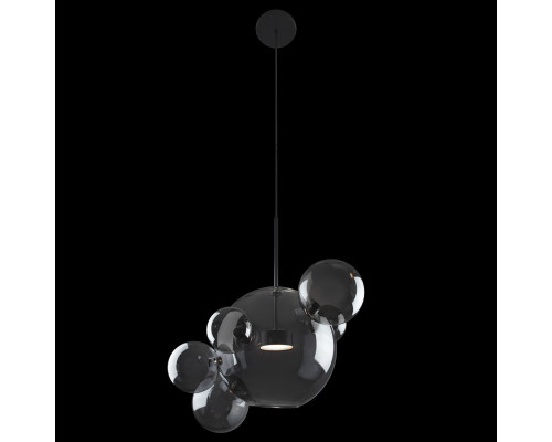 Заказать Подвесной светильник LOFT IT 2029-P6| VIVID-LIGHT.RU