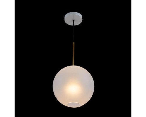 Купить Подвесной светильник LOFT IT 2030-P1| VIVID-LIGHT.RU