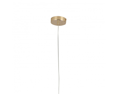 Сделать заказ Подвесной светильник F-Promo 2916-1P| VIVID-LIGHT.RU