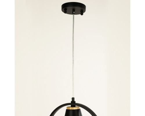 Оформить заказ Подвесной светильник F-Promo 2938-1P| VIVID-LIGHT.RU